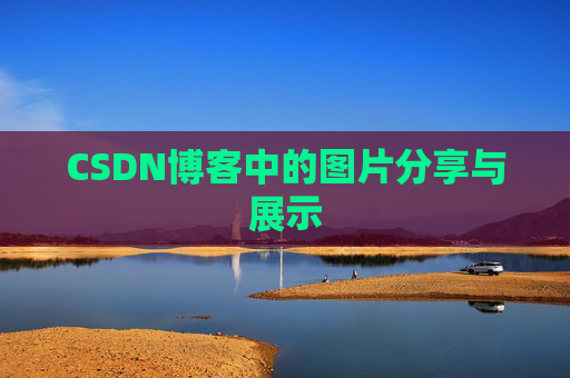 CSDN博客中的图片分享与展示
